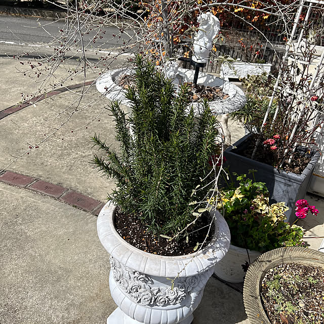 AYUKOさんの部屋