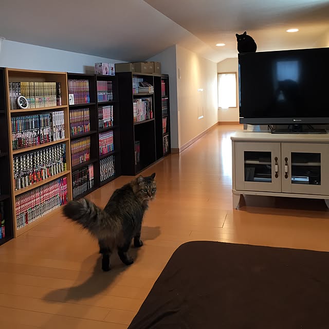 yuki0511さんの実例写真