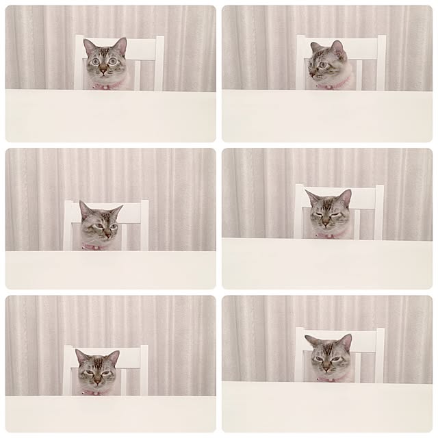 noelさんの実例写真