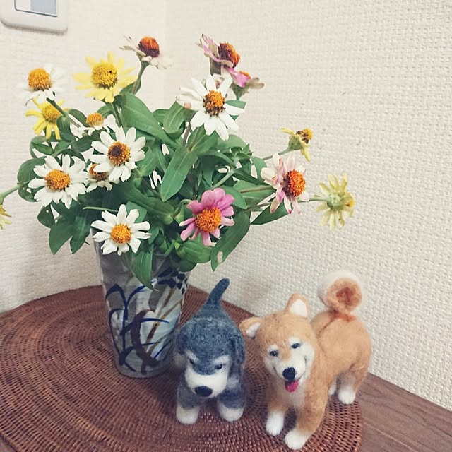 hopkeiさんの実例写真