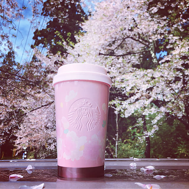 インテリアじゃなくてすみません/桜の木下/スタバ好き/コーヒータイム/桜バージョン...などのインテリア実例 - 2020-04-26 10:26:23