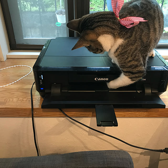 実例写真