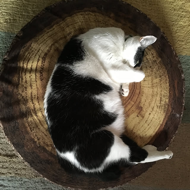 hanaさんの実例写真