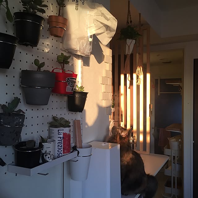 mikomaruさんの実例写真