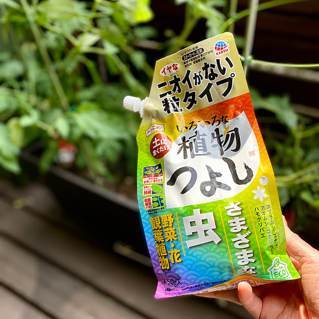 sacchiさんの実例写真