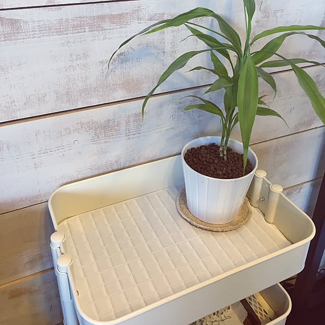 shokoさんの実例写真