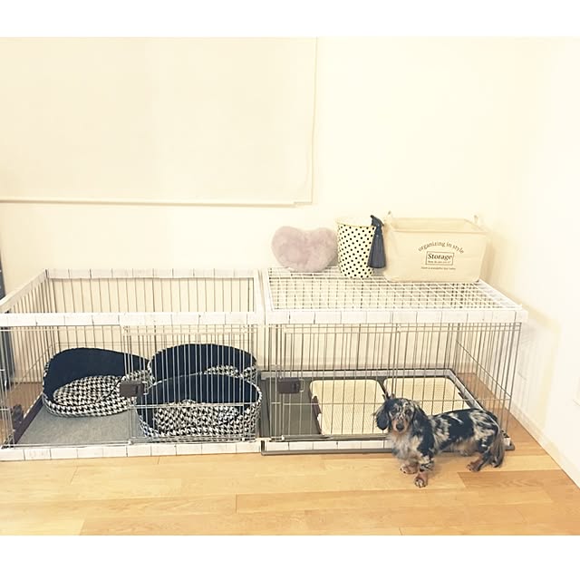 mogucocoさんの実例写真