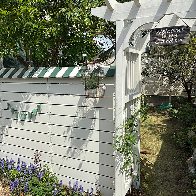 PEKO3_3さんの実例写真