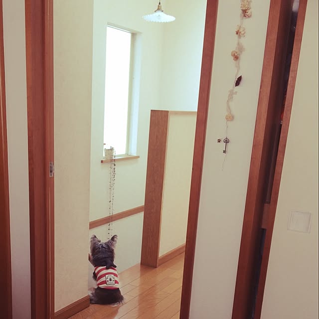chinayon8さんの実例写真