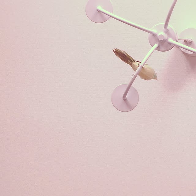 壁/天井/照明/とりさん/bird/賃貸...などのインテリア実例 - 2015-02-19 21:17:23