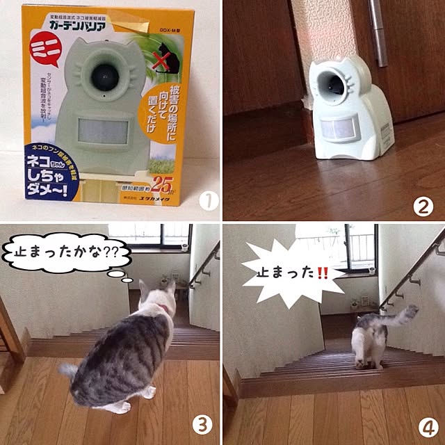 Mikaさんの実例写真