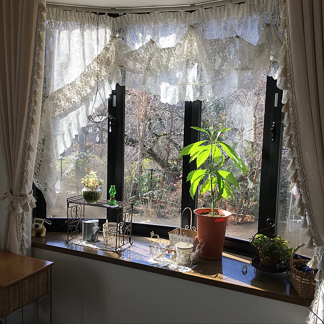 SerinaEmiさんの実例写真