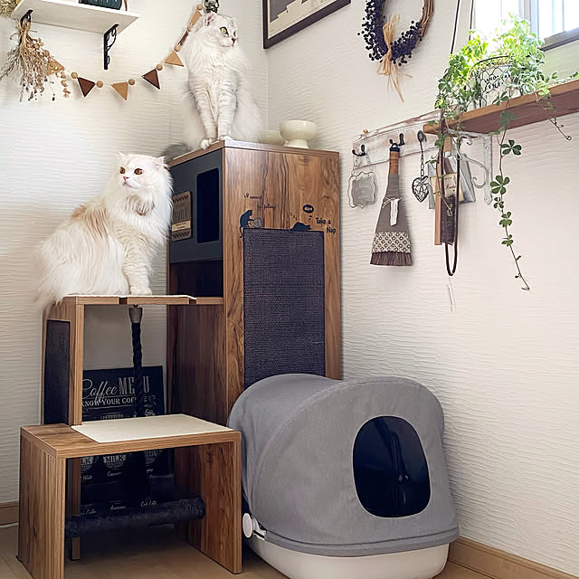 luna.comさんの実例写真
