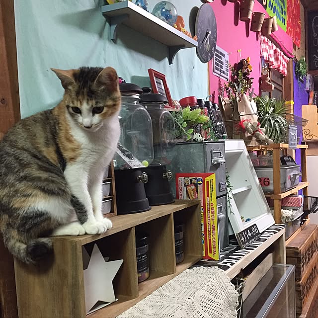 vivienne.coco-keiさんの実例写真