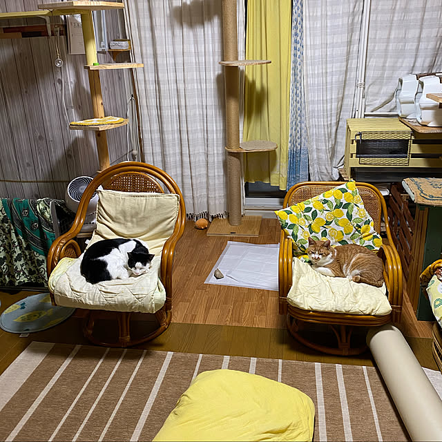SHIHOさんの実例写真