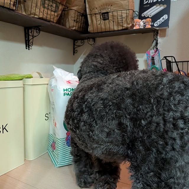 umeboshicyanさんの部屋