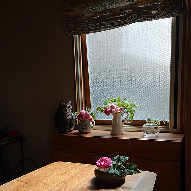 botanさんの実例写真