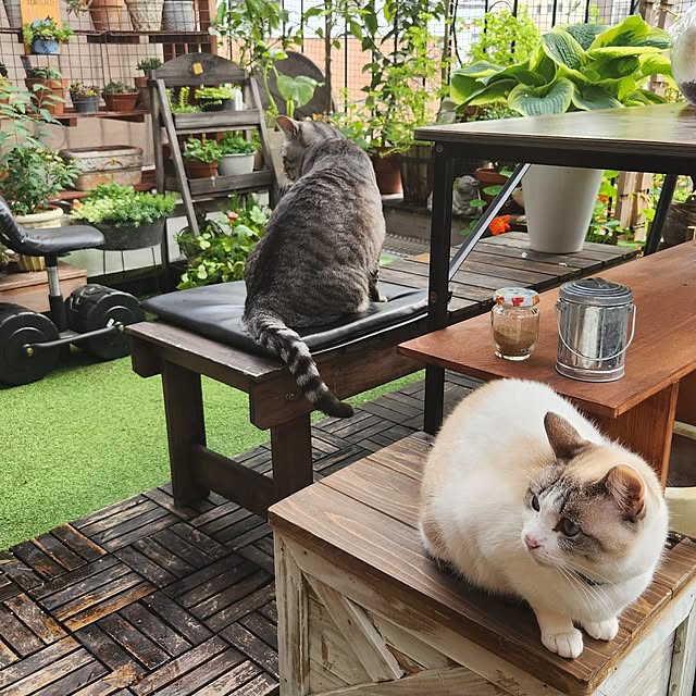 mikamaiさんの部屋