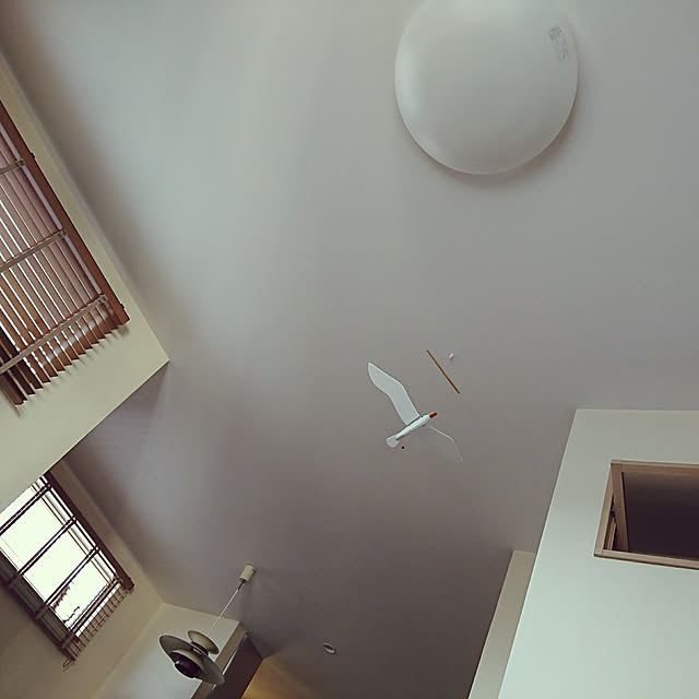 odecomaikoさんの実例写真