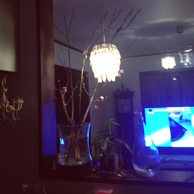 Reiさんの実例写真