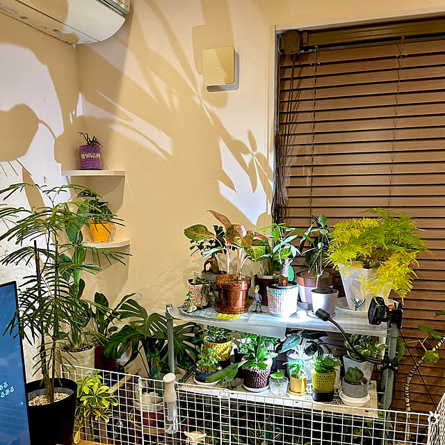 mei617830さんの部屋