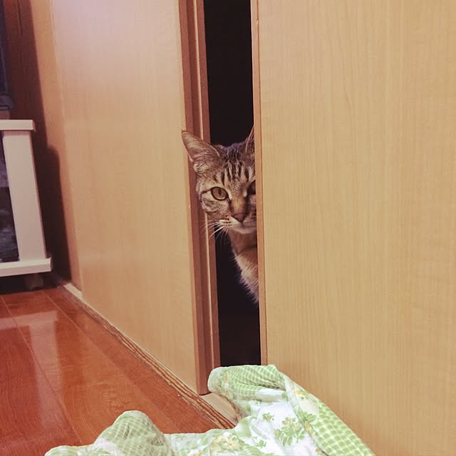uraraさんの実例写真