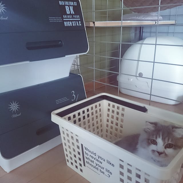 montboo5さんの実例写真