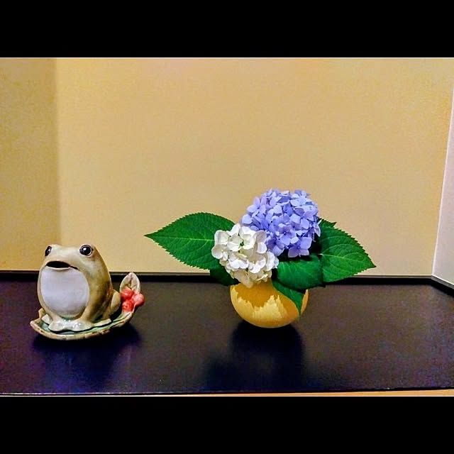 ieさんの実例写真