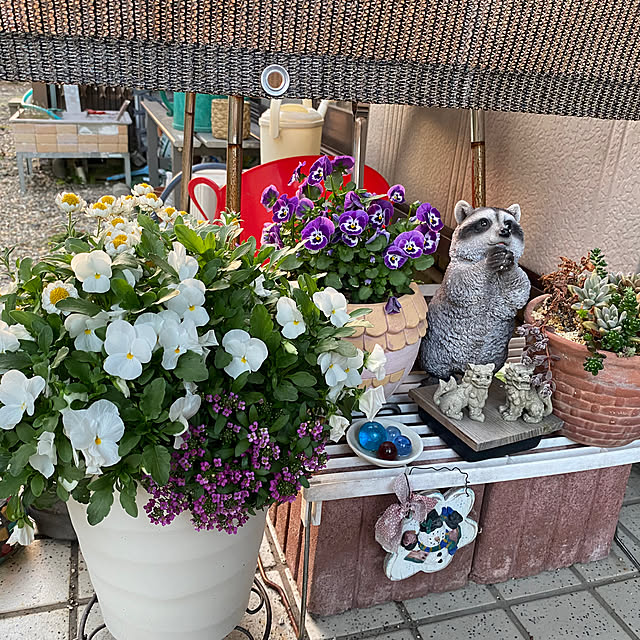 kiyoさんの実例写真