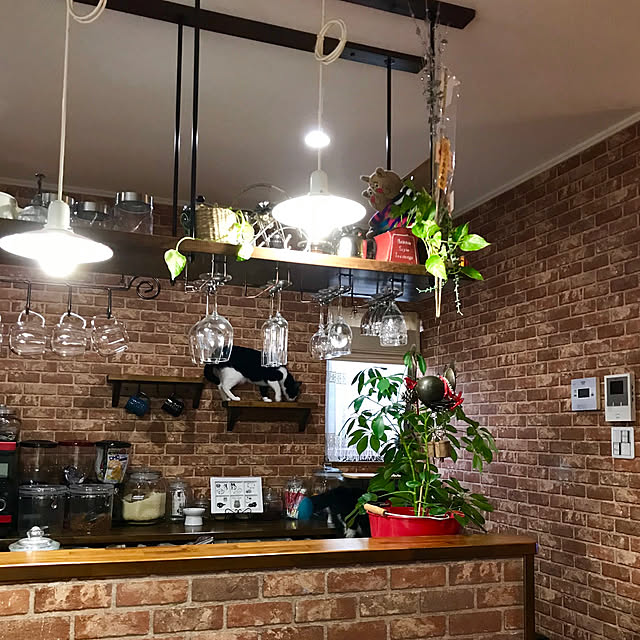 butachanさんの実例写真