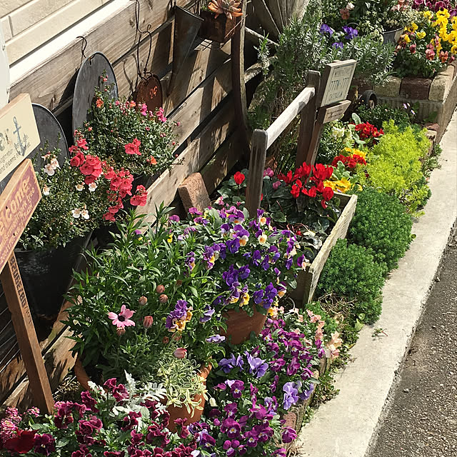 furu.さんの実例写真