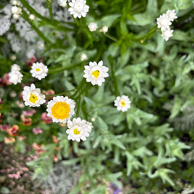 kyoko1124koさんの部屋