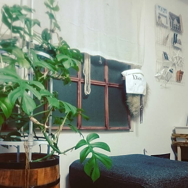 Little-Bambiさんの実例写真