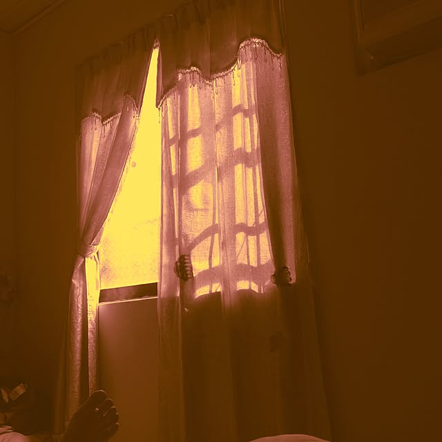 Adaさんの実例写真