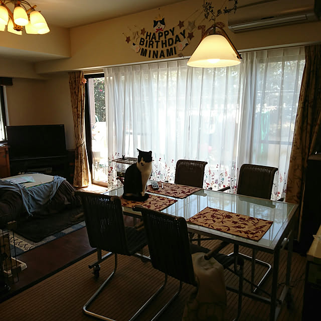 okyosan101さんの実例写真