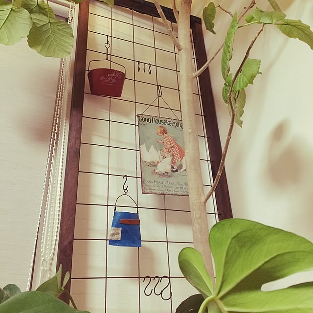 goakihatomo54526さんの実例写真