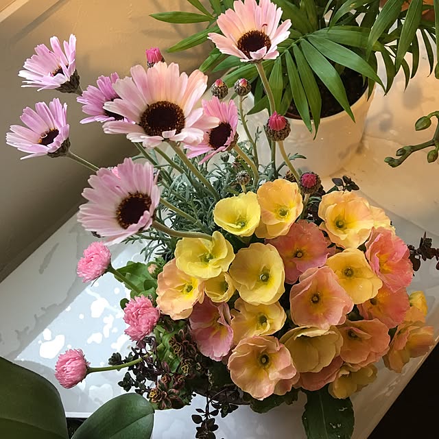 Sakura_hanaさんの実例写真