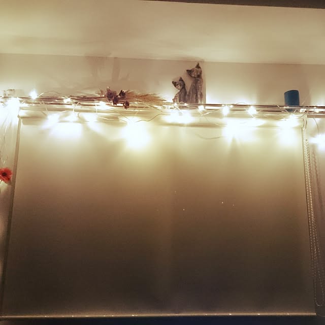 UKI_RINさんの実例写真