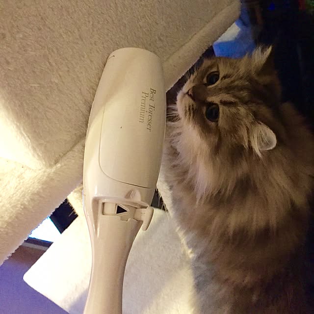 butachanさんの実例写真