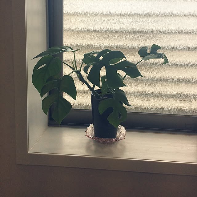 kimuraruさんの実例写真