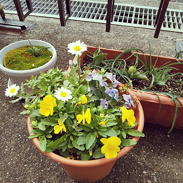 25Moondropsさんの実例写真