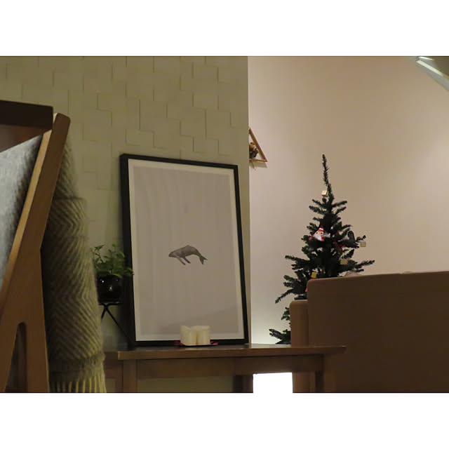 shinoさんの実例写真