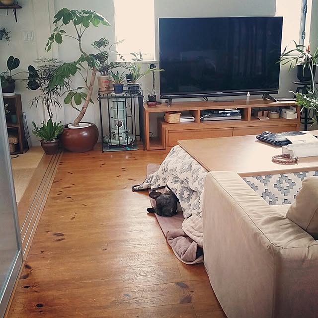 kuuuuさんの実例写真