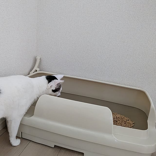 kumiさんの部屋