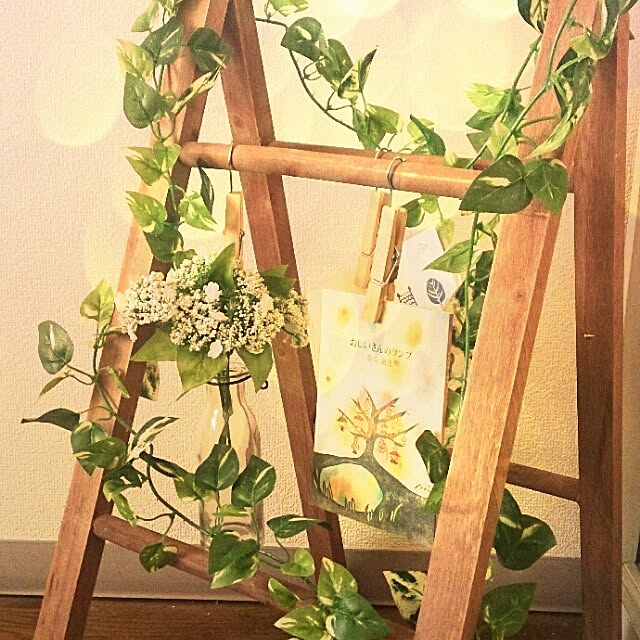 ayunoppaさんの実例写真