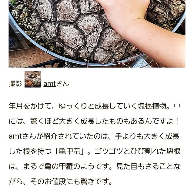amtさんの実例写真