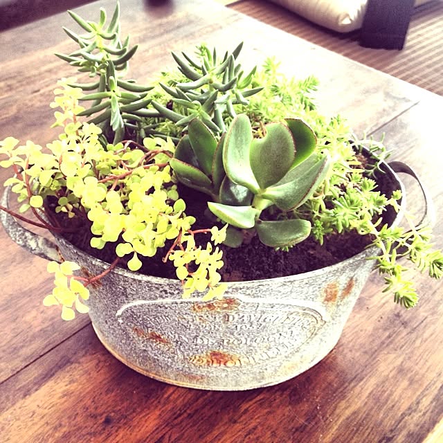 Takuさんの実例写真