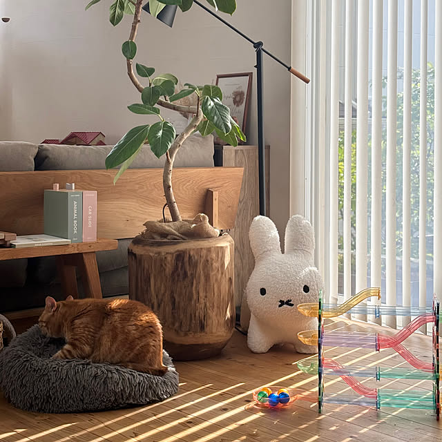 yukiさんの部屋