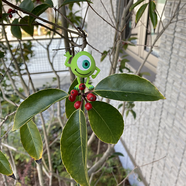 maさんの実例写真