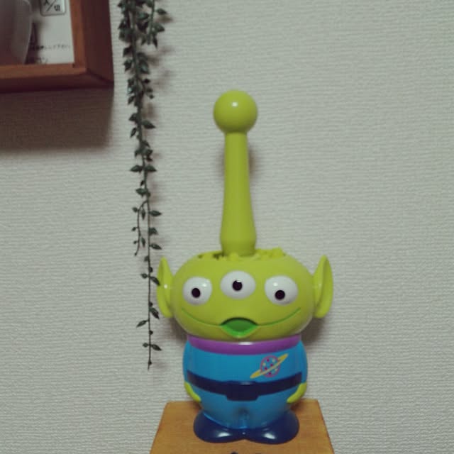 ikuさんの実例写真